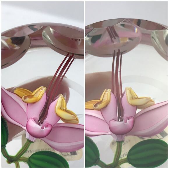 Perthshire 1987C Theobroma Cacao Flower Scallop Faceted Lampwork Paperweight COA - Picture 16 of 16